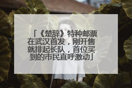 《楚辞》特种邮票在武汉首发，刚开售就排起长队，首位买到的市民直呼激动