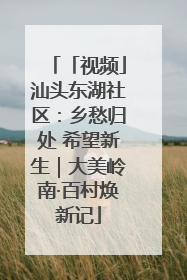 「视频」汕头东湖社区：乡愁归处 希望新生｜大美岭南·百村焕新记
