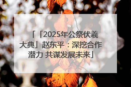 「2025年公祭伏羲大典」赵东平：深挖合作潜力 共谋发展未来