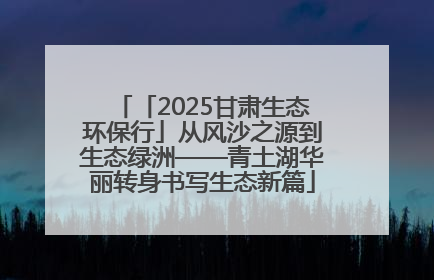 「2025甘肃生态环保行」从风沙之源到生态绿洲——青土湖华丽转身书写生态新篇