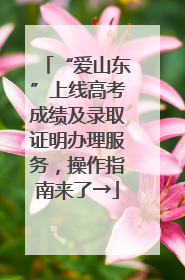 “爱山东”上线高考成绩及录取证明办理服务，操作指南来了→