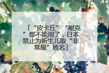 “皮卡丘”“耐克”都不能用了，日本禁止为新生儿取“非常规”姓名