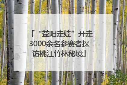 “益阳走娃”开走 3000余名参赛者探访桃江竹林秘境