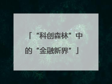 “科创森林”中的“金融新界”
