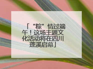 “粽”情过端午！这场主题文化活动将在四川蓬溪启幕