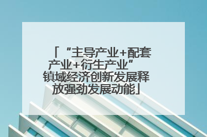 “主导产业+配套产业+衍生产业” 镇域经济创新发展释放强劲发展动能