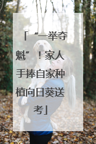 “一举夺魁”！家人手捧自家种植向日葵送考