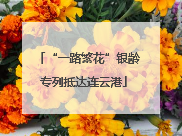 “一路繁花”银龄专列抵达连云港