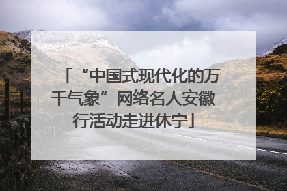 “中国式现代化的万千气象”网络名人安徽行活动走进休宁