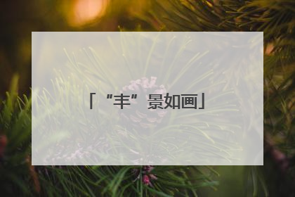 “丰”景如画
