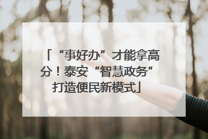 “事好办”才能拿高分！泰安“智慧政务”打造便民新模式