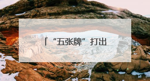 “五张牌”打出“四个经验启示” 四川南充携手瑞安市全链打造东西部“消费协作”