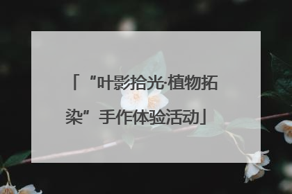 “叶影拾光·植物拓染”手作体验活动