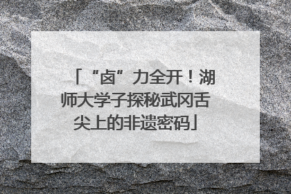 “卤”力全开！湖师大学子探秘武冈舌尖上的非遗密码