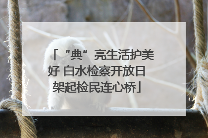 “典”亮生活护美好 白水检察开放日架起检民连心桥