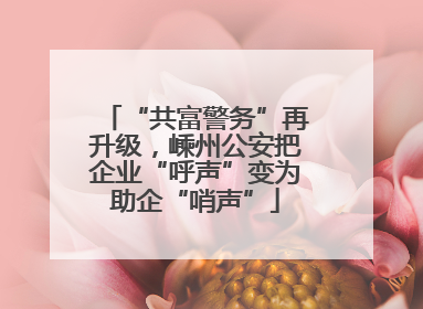 “共富警务”再升级，嵊州公安把企业“呼声”变为助企“哨声”
