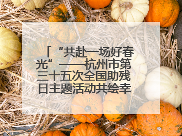 “共赴一场好春光”——杭州市第三十五次全国助残日主题活动共绘幸福答卷（组图）