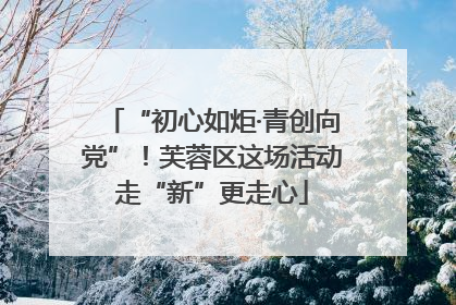 “初心如炬·青创向党”！芙蓉区这场活动走“新”更走心