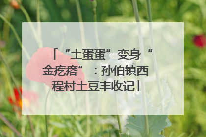 “土蛋蛋”变身“金疙瘩”：孙伯镇西程村土豆丰收记