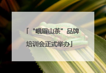 “峨眉山茶”品牌培训会正式举办