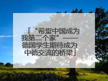 “希望中国成为我第二个家”——德国学生期待成为中德交流的桥梁