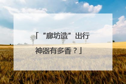 “廊坊造”出行神器有多香？