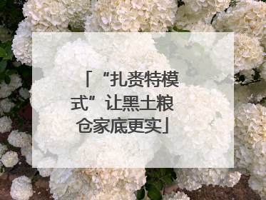 “扎赉特模式”让黑土粮仓家底更实