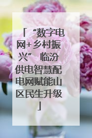 “数字电网+乡村振兴” 临汾供电智慧配电网赋能山区民生升级