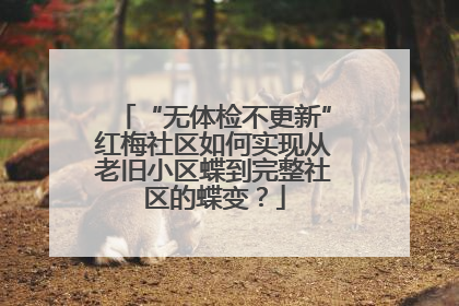 “无体检不更新”红梅社区如何实现从老旧小区蝶到完整社区的蝶变？