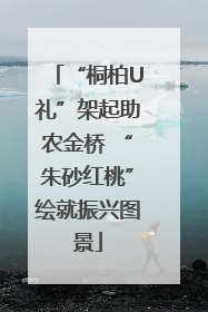 “桐柏U礼”架起助农金桥 “朱砂红桃”绘就振兴图景