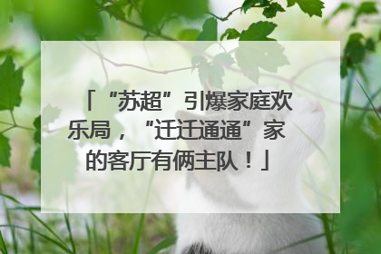 “苏超”引爆家庭欢乐局，“迁迁通通”家的客厅有俩主队！