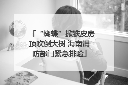 “蝴蝶”掀铁皮房顶吹倒大树 海南消防部门紧急排险