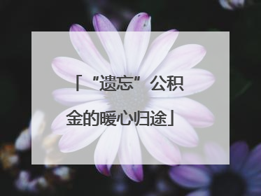 “遗忘”公积金的暖心归途