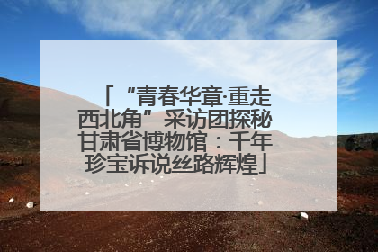 “青春华章·重走西北角”采访团探秘甘肃省博物馆：千年珍宝诉说丝路辉煌