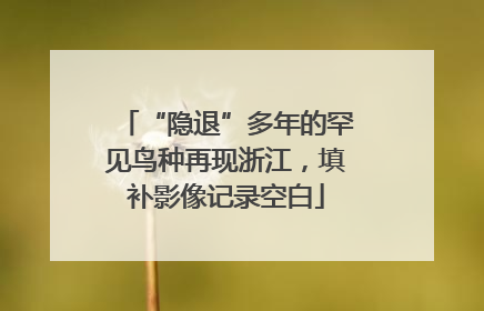“隐退”多年的罕见鸟种再现浙江，填补影像记录空白