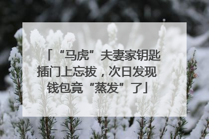 “马虎”夫妻家钥匙插门上忘拔，次日发现钱包竟“蒸发”了