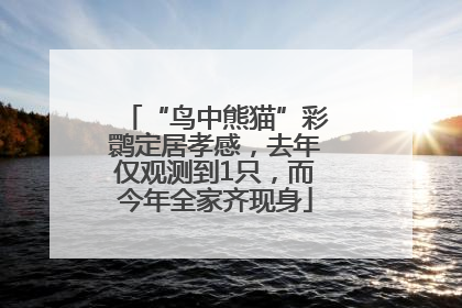 “鸟中熊猫”彩鹮定居孝感，去年仅观测到1只，而今年全家齐现身