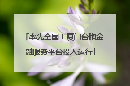 率先全国！厦门台胞金融服务平台投入运行