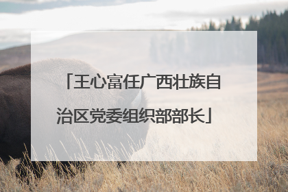 王心富任广西壮族自治区党委组织部部长