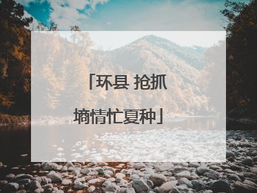 环县 抢抓墒情忙夏种