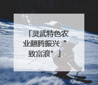 灵武特色农业翻腾振兴“致富浪”