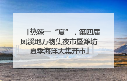 热辣一“夏”，第四届凤溪地万物集夜市暨潍坊夏季海洋大集开市