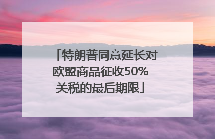 特朗普同意延长对欧盟商品征收50%关税的最后期限