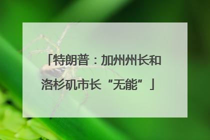 特朗普：加州州长和洛杉矶市长“无能”
