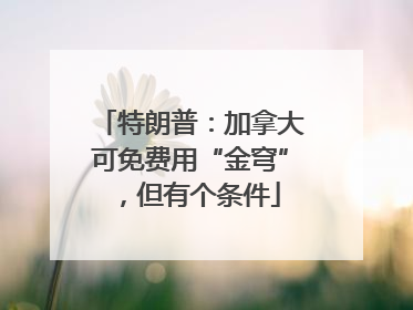 特朗普：加拿大可免费用“金穹”，但有个条件