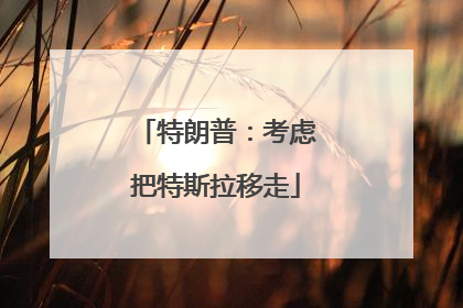 特朗普：考虑把特斯拉移走