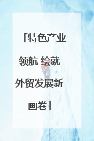 特色产业领航 绘就外贸发展新画卷