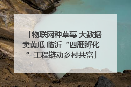 物联网种草莓 大数据卖黄瓜 临沂“四雁孵化”工程链动乡村共富
