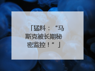 猛料：“马斯克被长期秘密监控！”