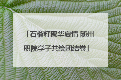 石榴籽聚华夏情 随州职院学子共绘团结卷